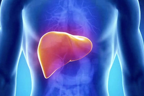 Taking Care of Your Liver for Optimal Health 6