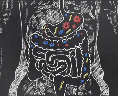sketch of human intestines and gut microorganisms