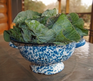 Collard Greens Give a Your Diet a Vitamin Boost 2