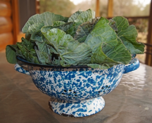 Collard Greens Give a Your Diet a Vitamin Boost 1