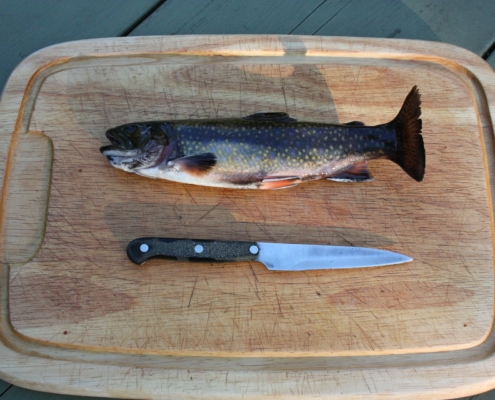 Rainbow Trout: Good for Your Body & Your Brain 1