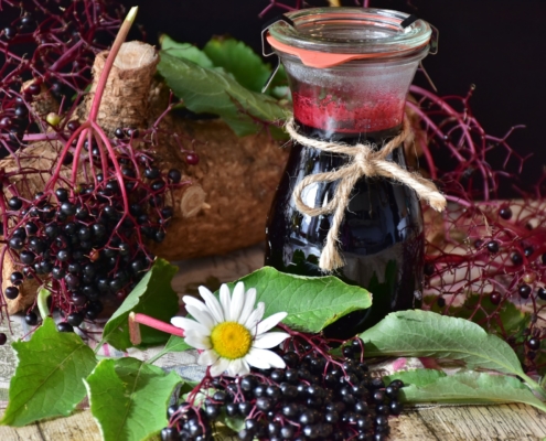 Darker Berries have Exceptional Health Benefits 1