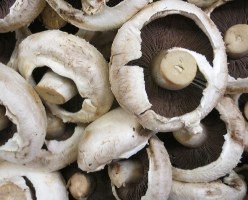 bowl full of mushroom caps
