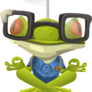 cartoon frog in yoga meditation pose wearing eyeglasses